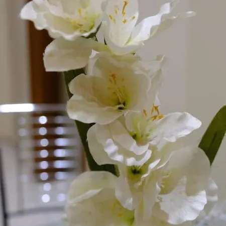 アパート White Tower Office-apartment テッサロニキ